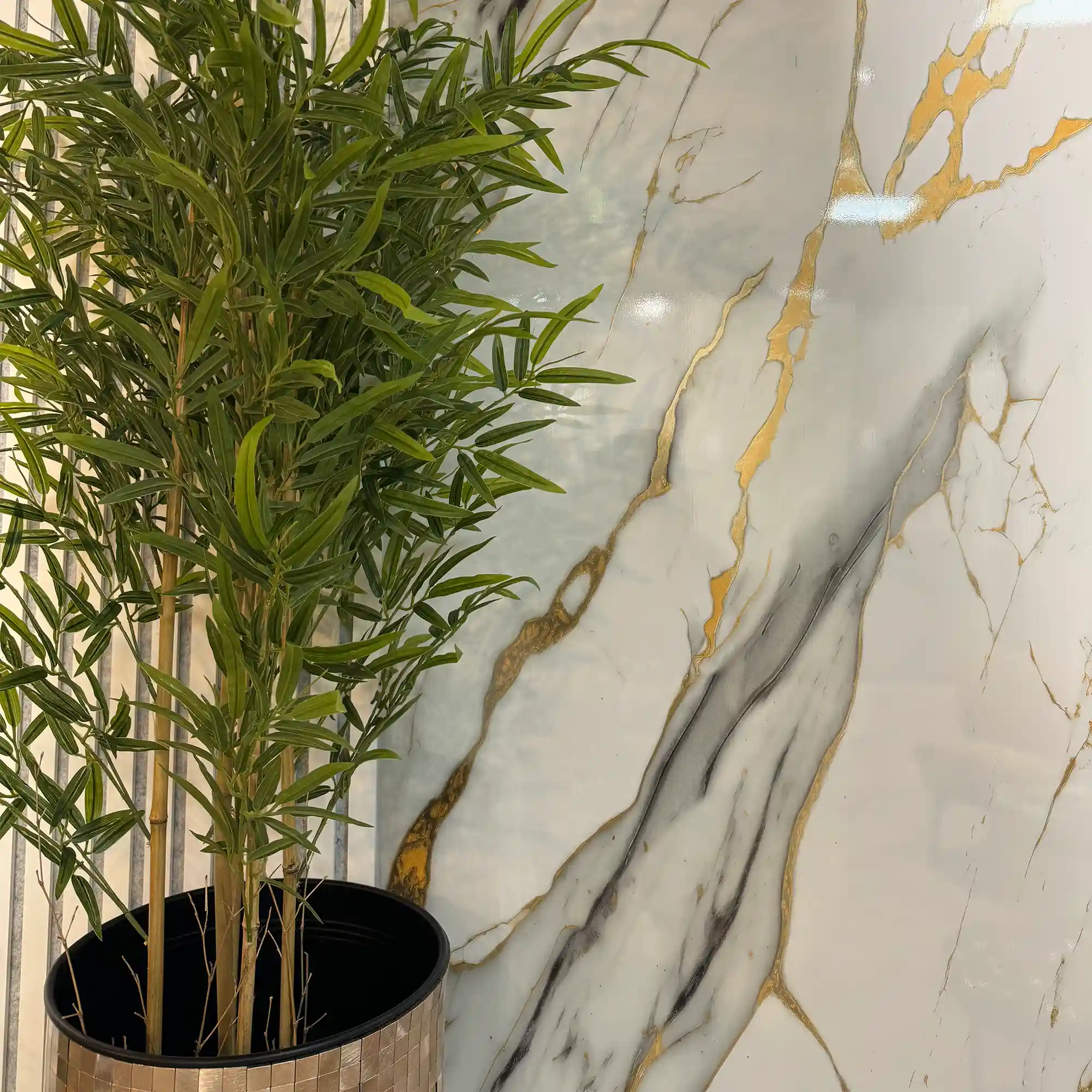 "Gouden wit" - Marmeren wandpaneel 122x260cm